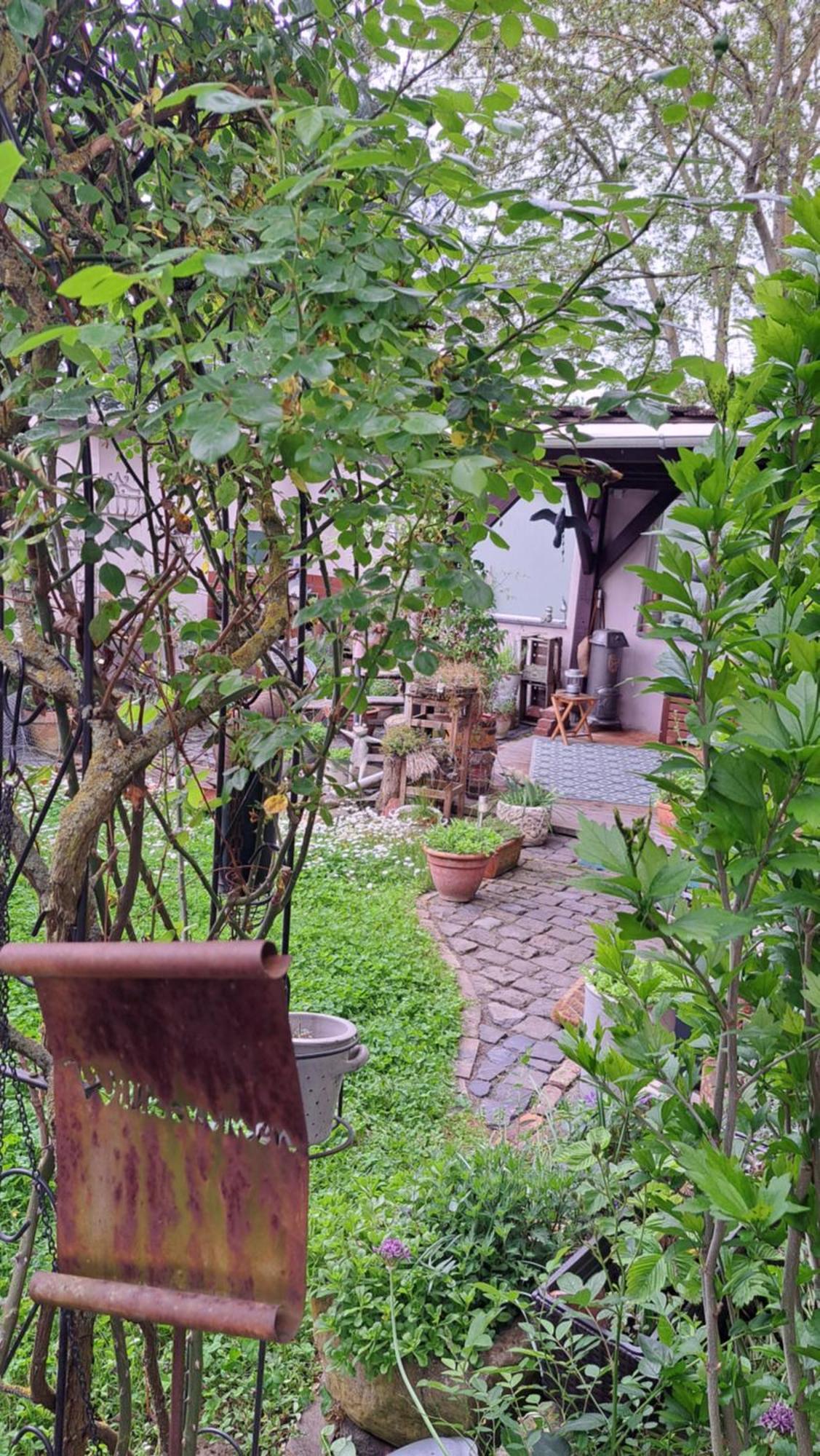 Ferienwohnung Vogt Mertloch Extérieur photo